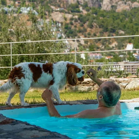 Z-villas Hotel Turunç