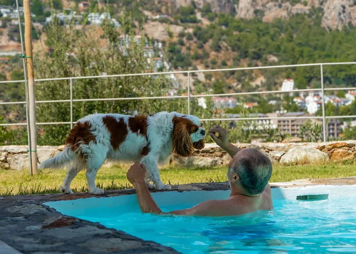 Z-villas Hotell Turunç