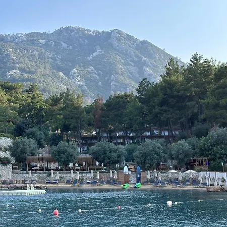 Z-villas *