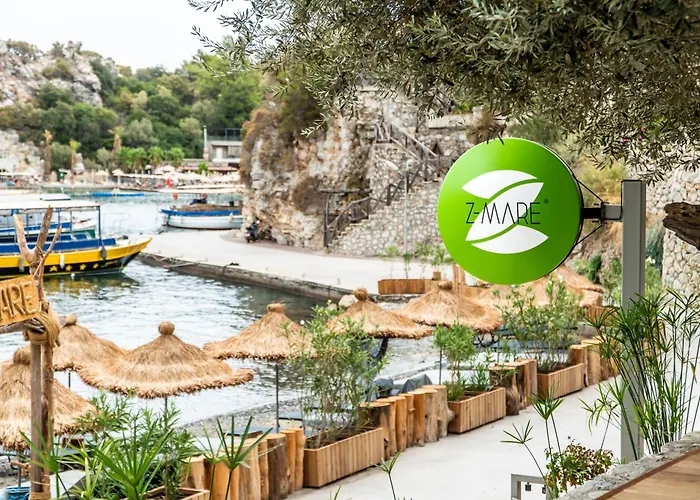 Z-villas *