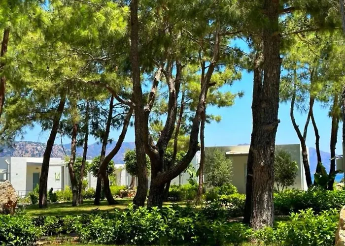 Z-villas Hotel Turunç