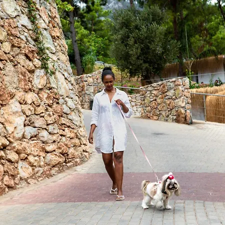 Ξενοδοχείο Z-villas *