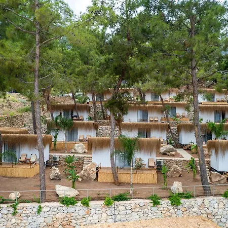 Z-villas 호텔 투룬치
