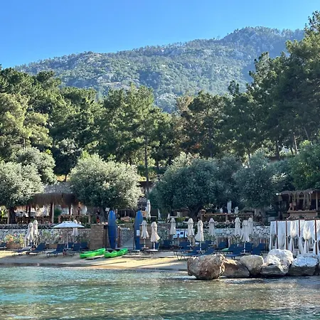 Ξενοδοχείο Z-villas