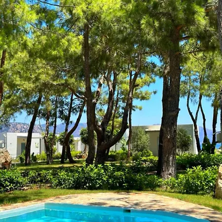 Z-villas فندق تورونشْ