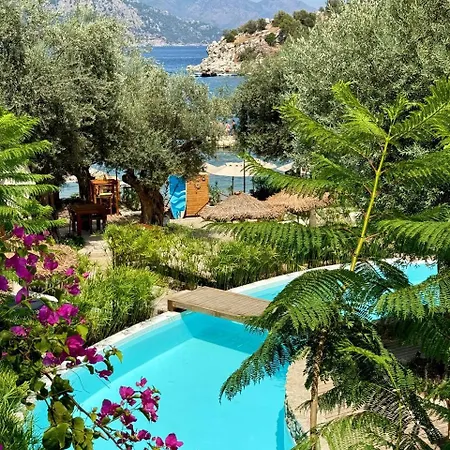 Z-villas فندق *