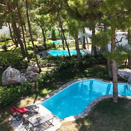 فندق Z-villas *