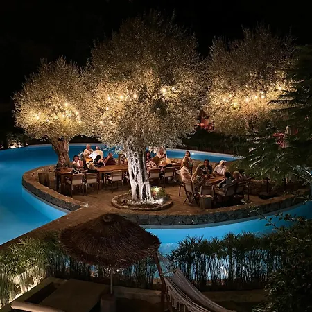 Z-villas تورونشْ