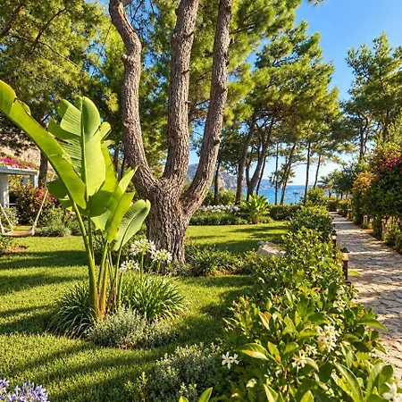 فندق Z-villas *