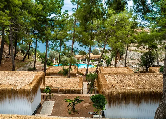 Z-villas Turunç