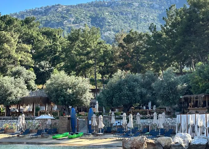 Hotel Z-villas
