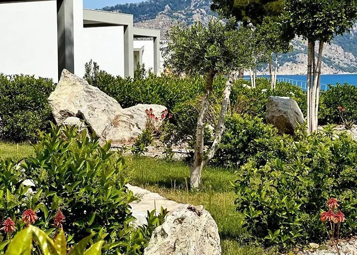 Z-villas