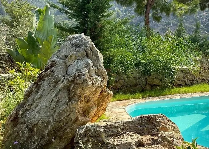 Z-villas