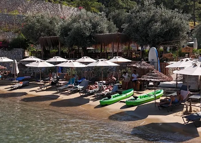 Z-villas * Turunç