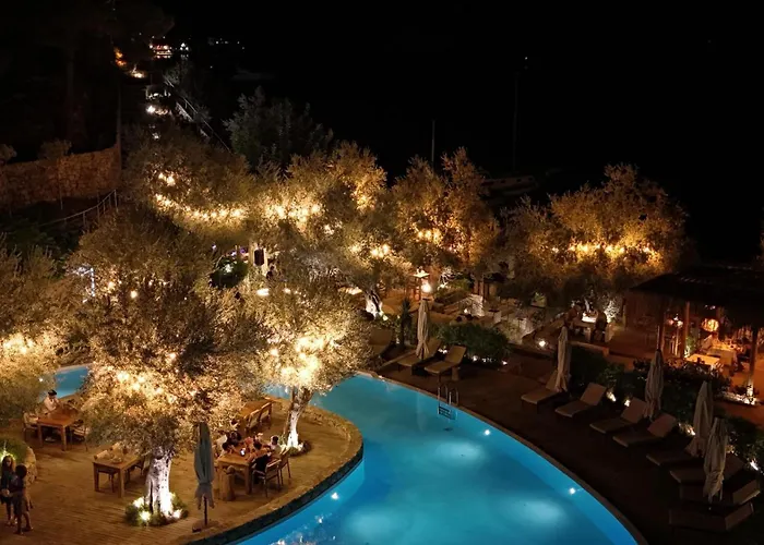 Z-villas